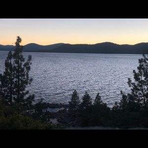 Meet your Posher, Sydney